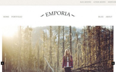 wordpress photography themes