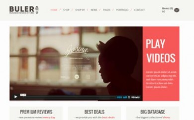 WordPress WooCommerce Themes